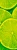 Фотообои Decocode Лайм 1*2,8м